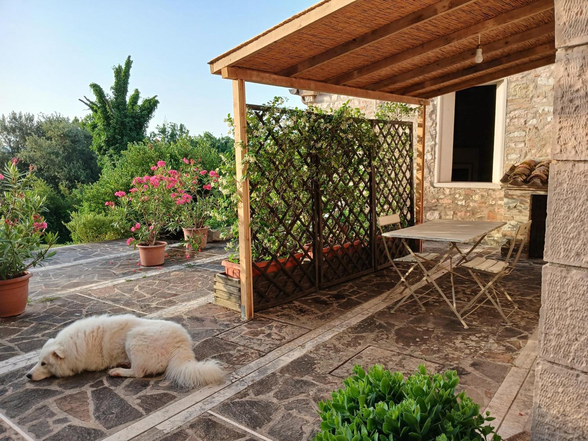 Agriturismo Del Frontino - Lo Studio Acqualagna Exterior foto